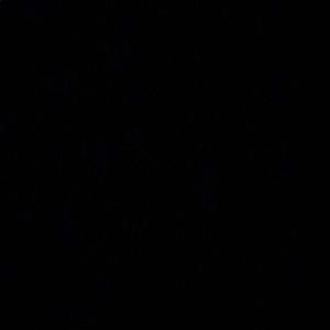 Meet your Posher, Jaxon